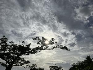 空