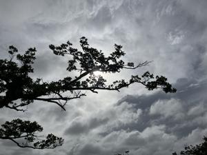 空