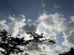 空