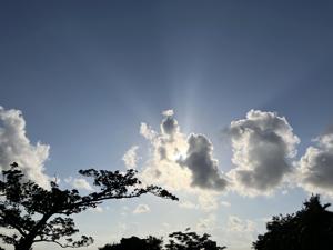 空