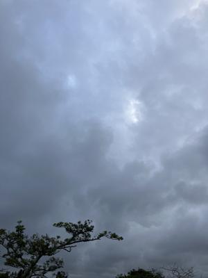 空