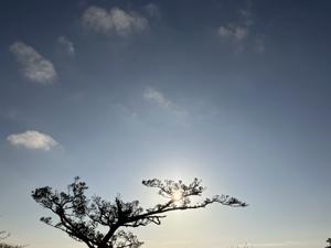 空