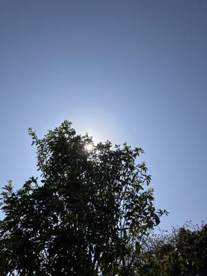 空
