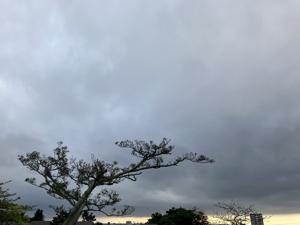 空