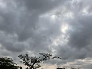 空