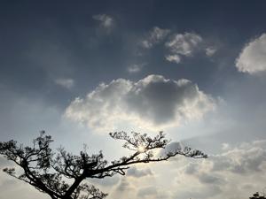 空