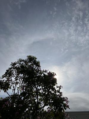 空