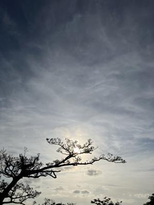 空