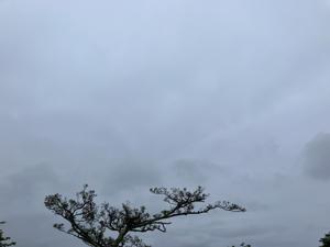 空