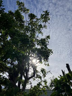 空
