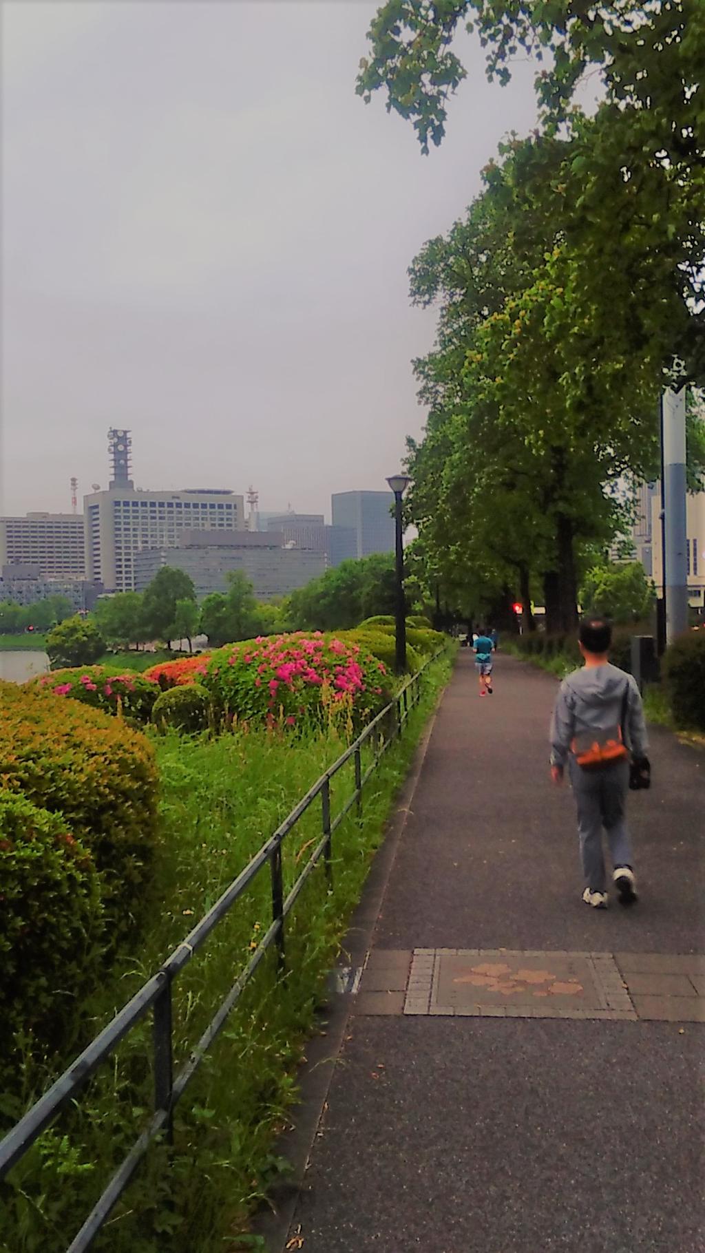 皇居おほり