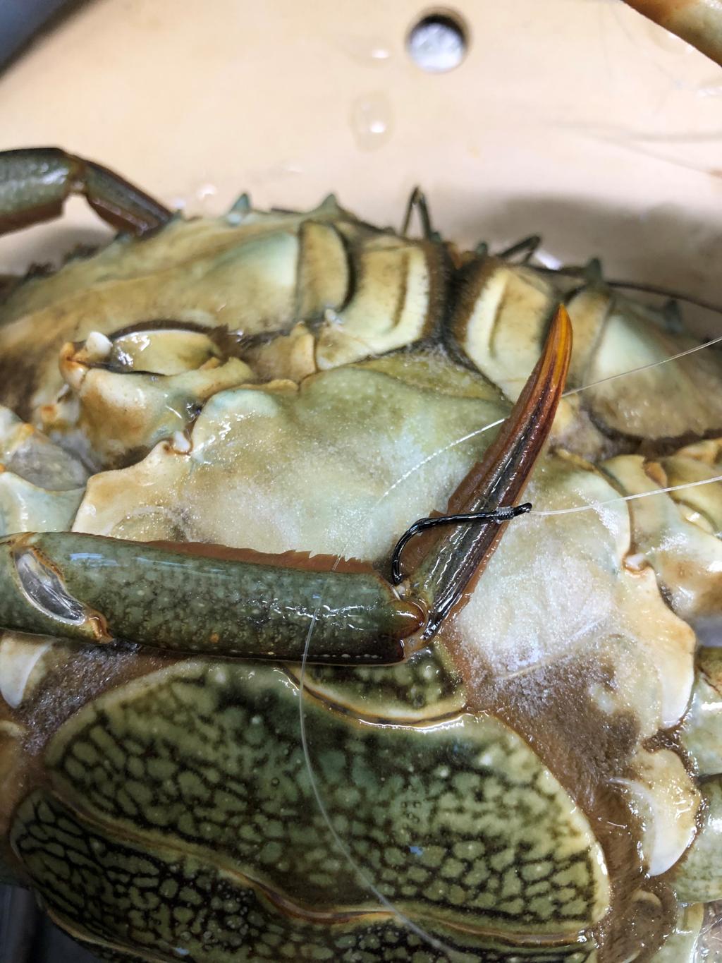 釣り針