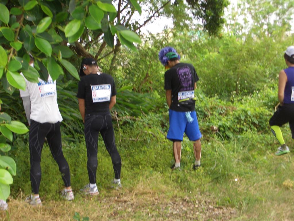 ２０１０年の大会で１３キロ地点かな  width=