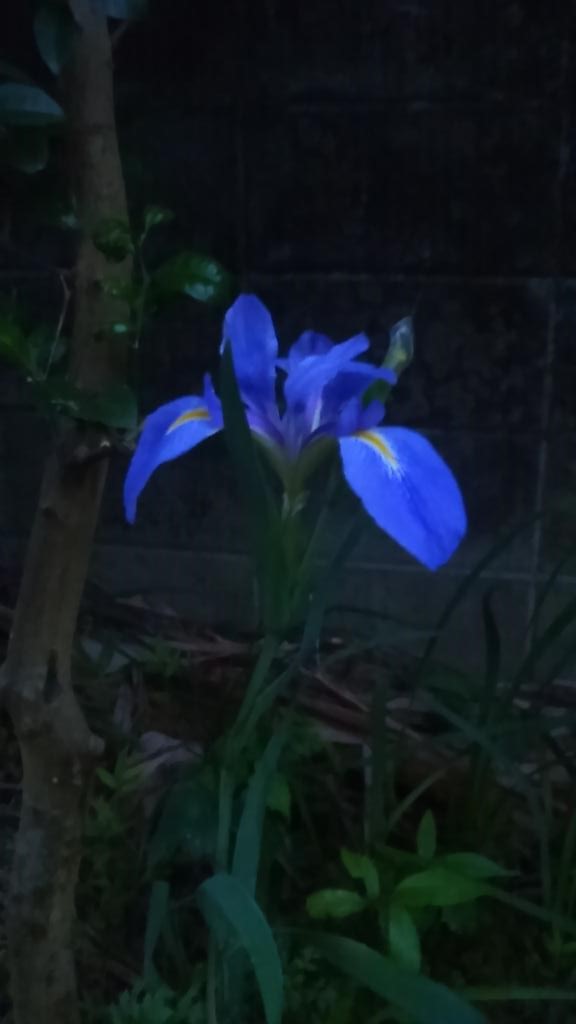 2014.04.24送られるか