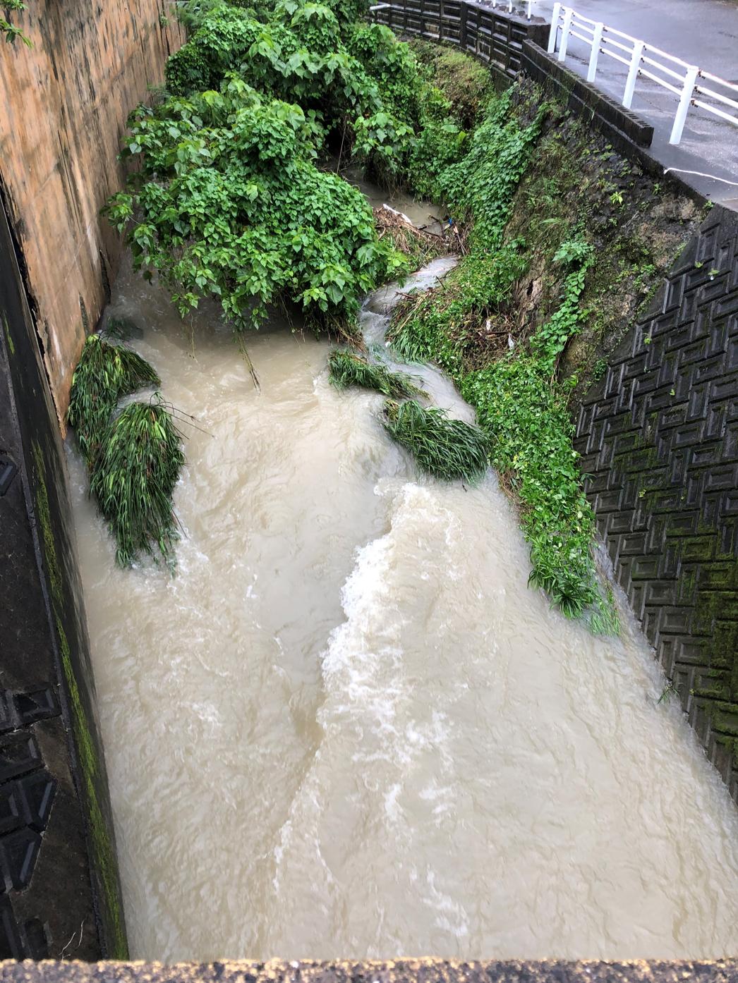 増水した上流（橋の上から）昨日の夕方６時前