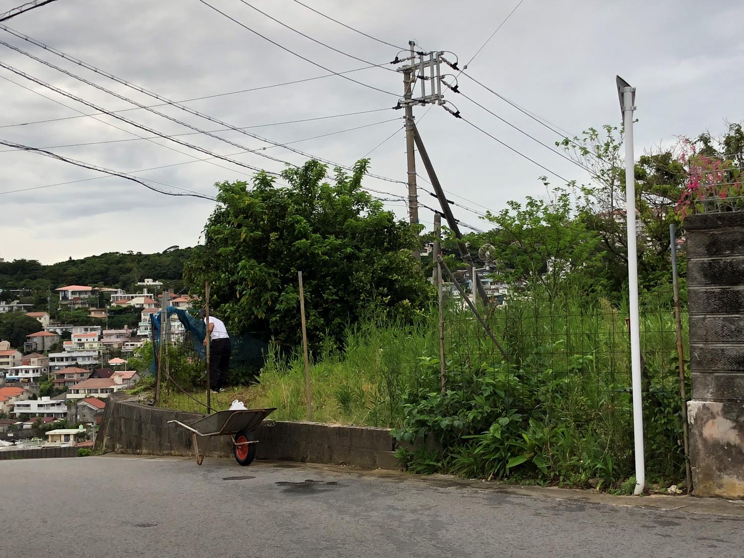 見ず知らずの人、この写真を確認していると気が付くと脇にいた！
