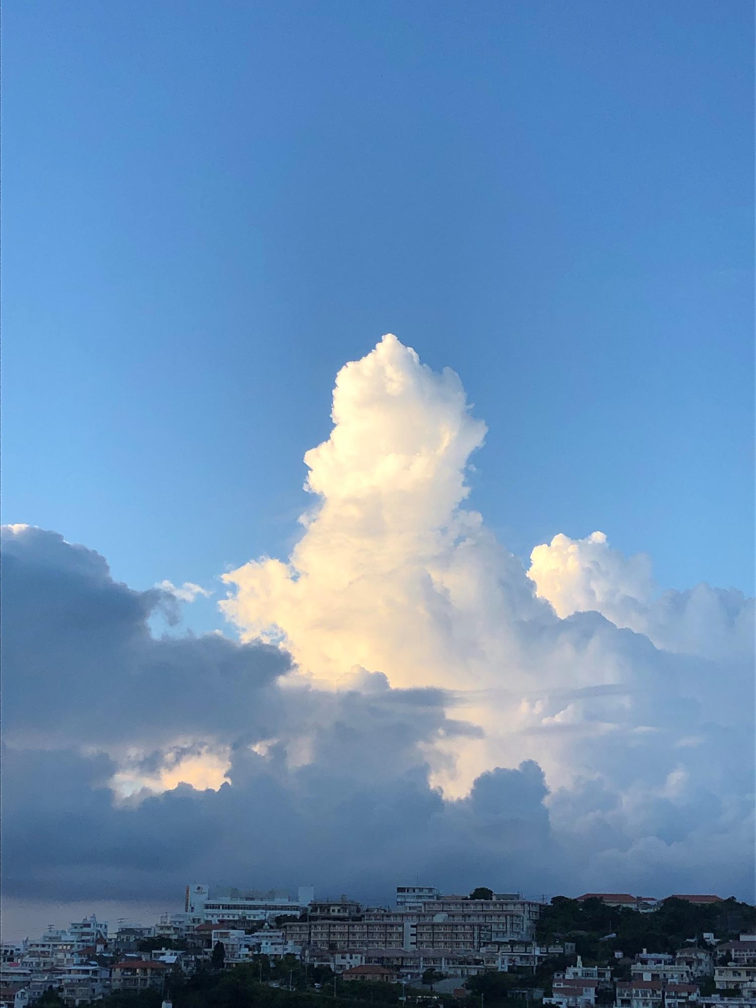 昨日の夕方の入道雲
