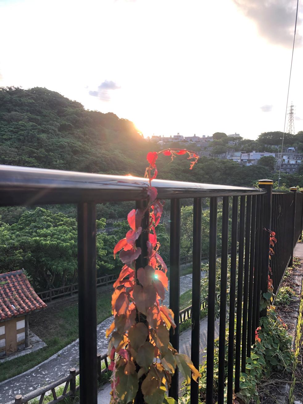 昨日の夕方　日暮れ