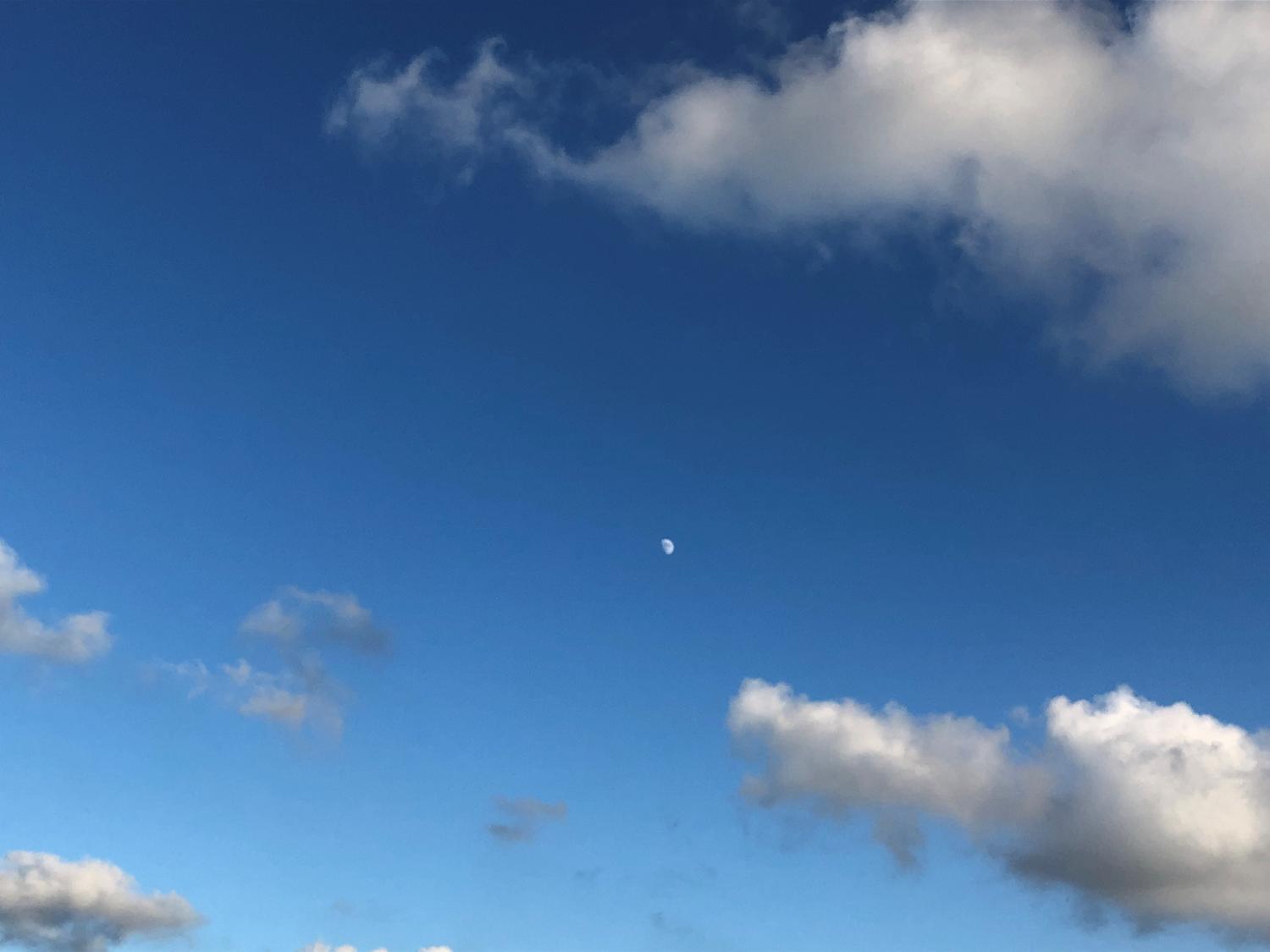 １６日（木曜）　１７：５０　月です