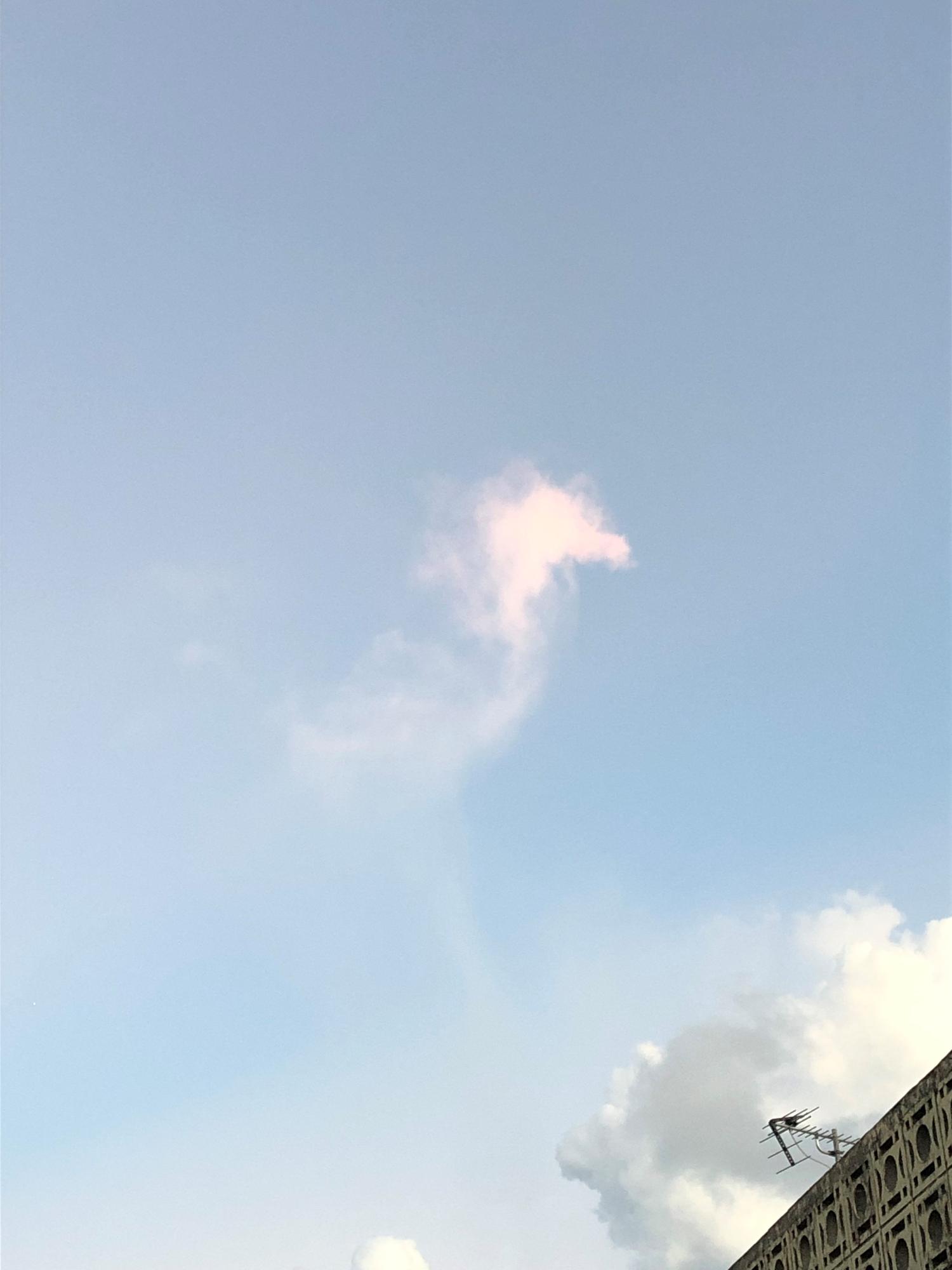 タツノオトシゴのような雲