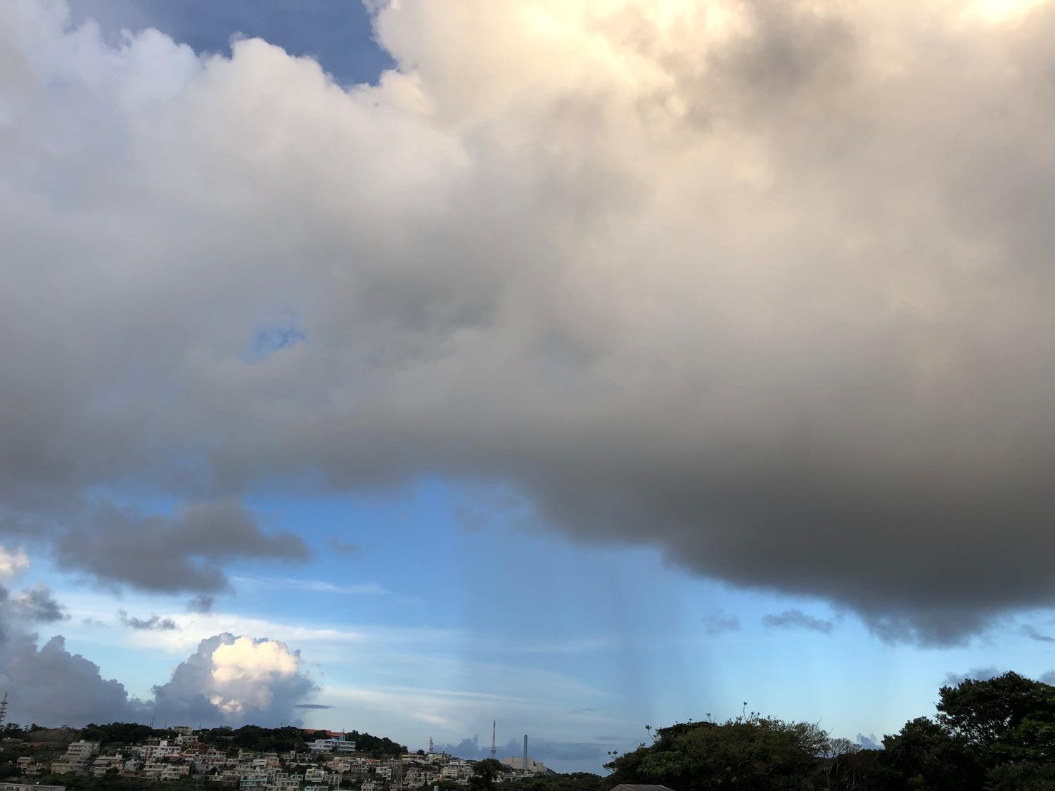 にわか雨が落ちている　１５分後この雨に襲われる（傘あり）