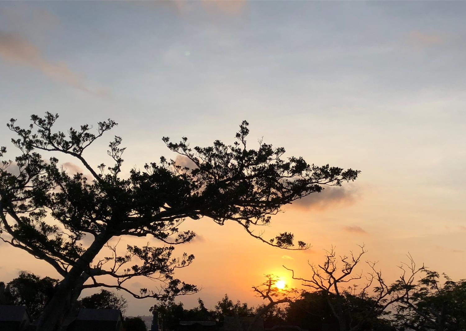 昨日の６時２分　これから走ります、夕陽は沈もうとしている。