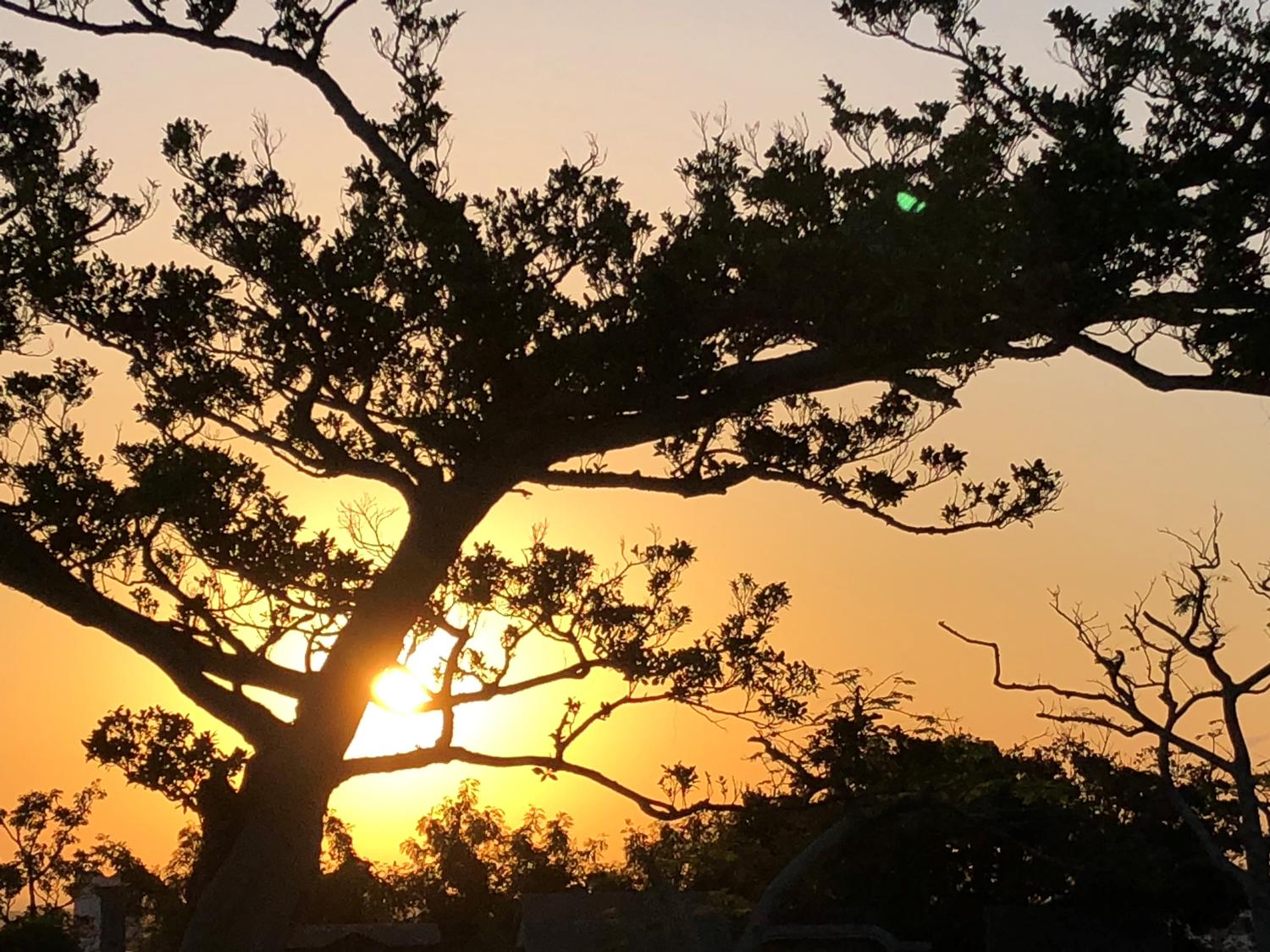 昨日の１７時５８分　お腹がいたいのでこれから歩きます、