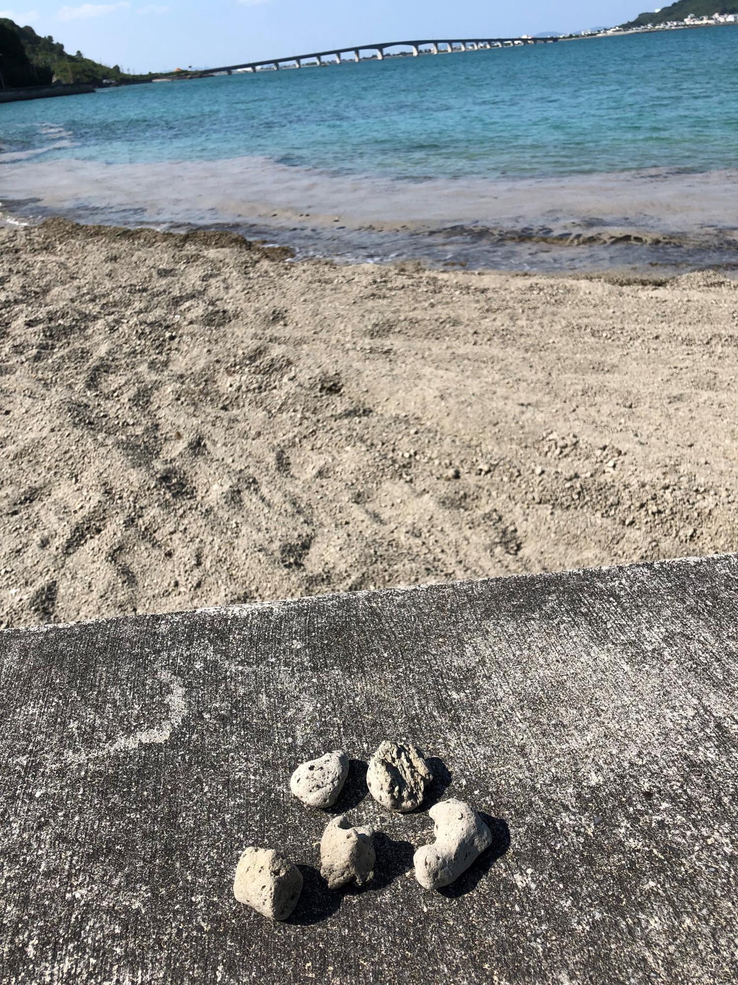 浜比嘉島の浜で軽石をとる