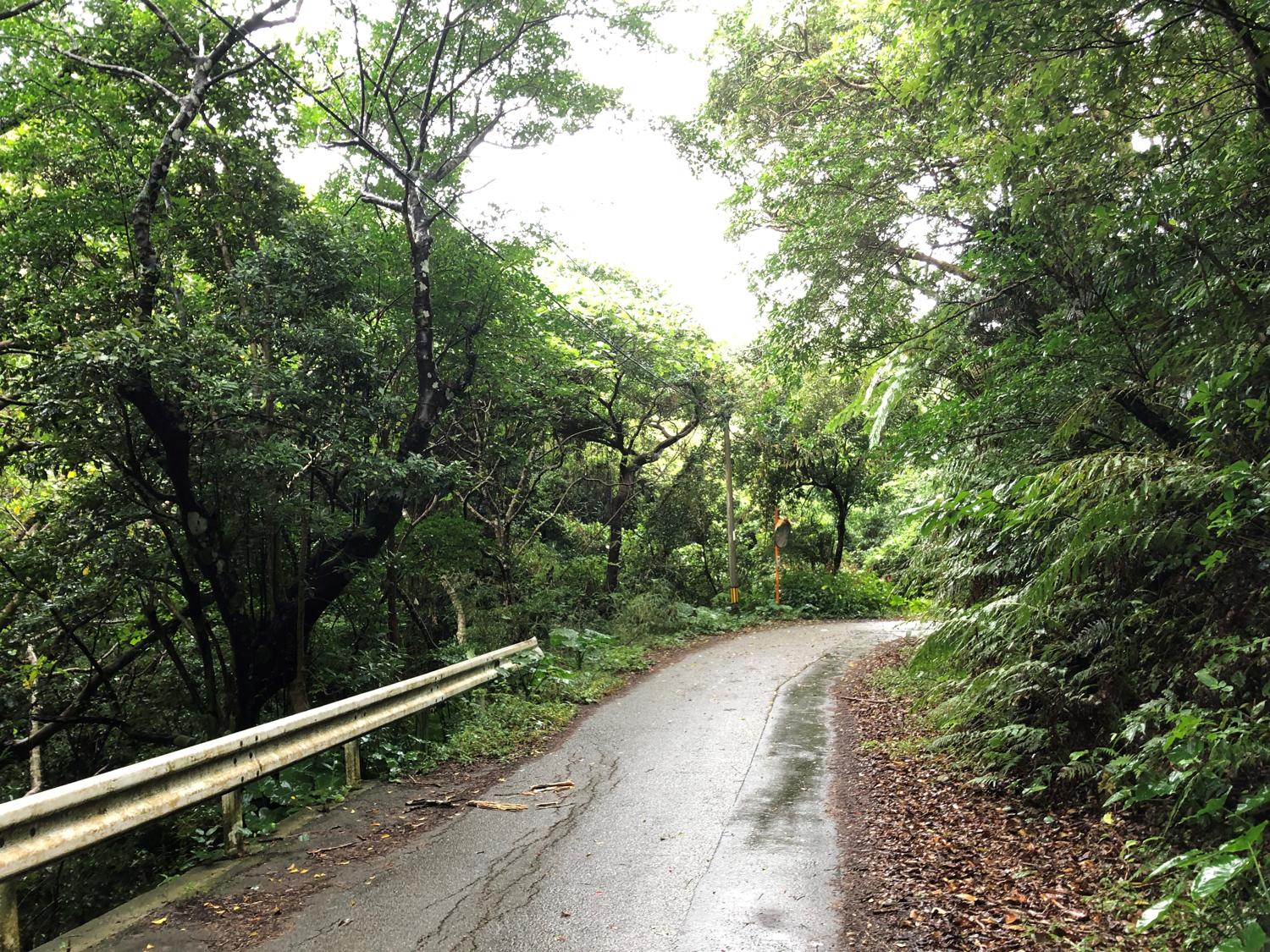 キンナーからウイバルへいく山道の中間あたり