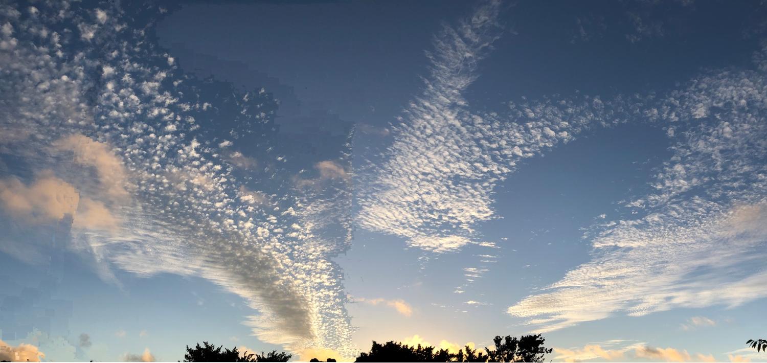 空が綺麗