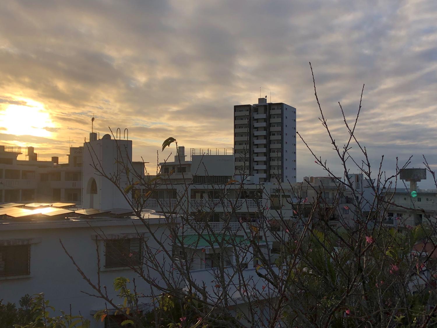 夕陽と桜