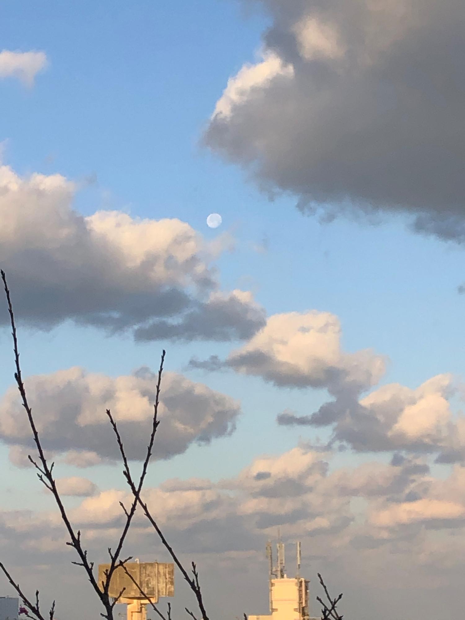 ７時５１分　西の空に満月