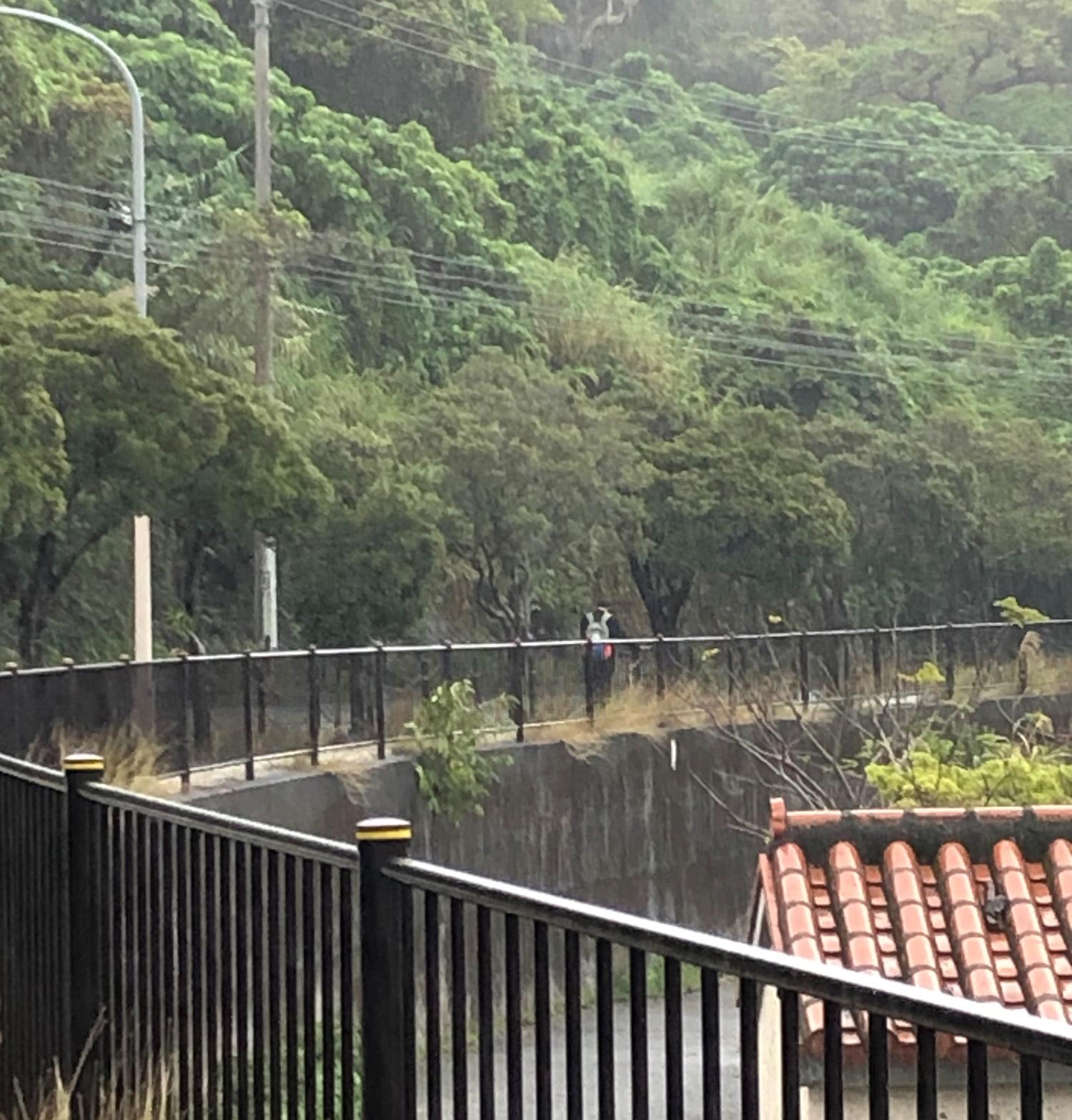 小雨が降っている中、自転車をスマホをみながら