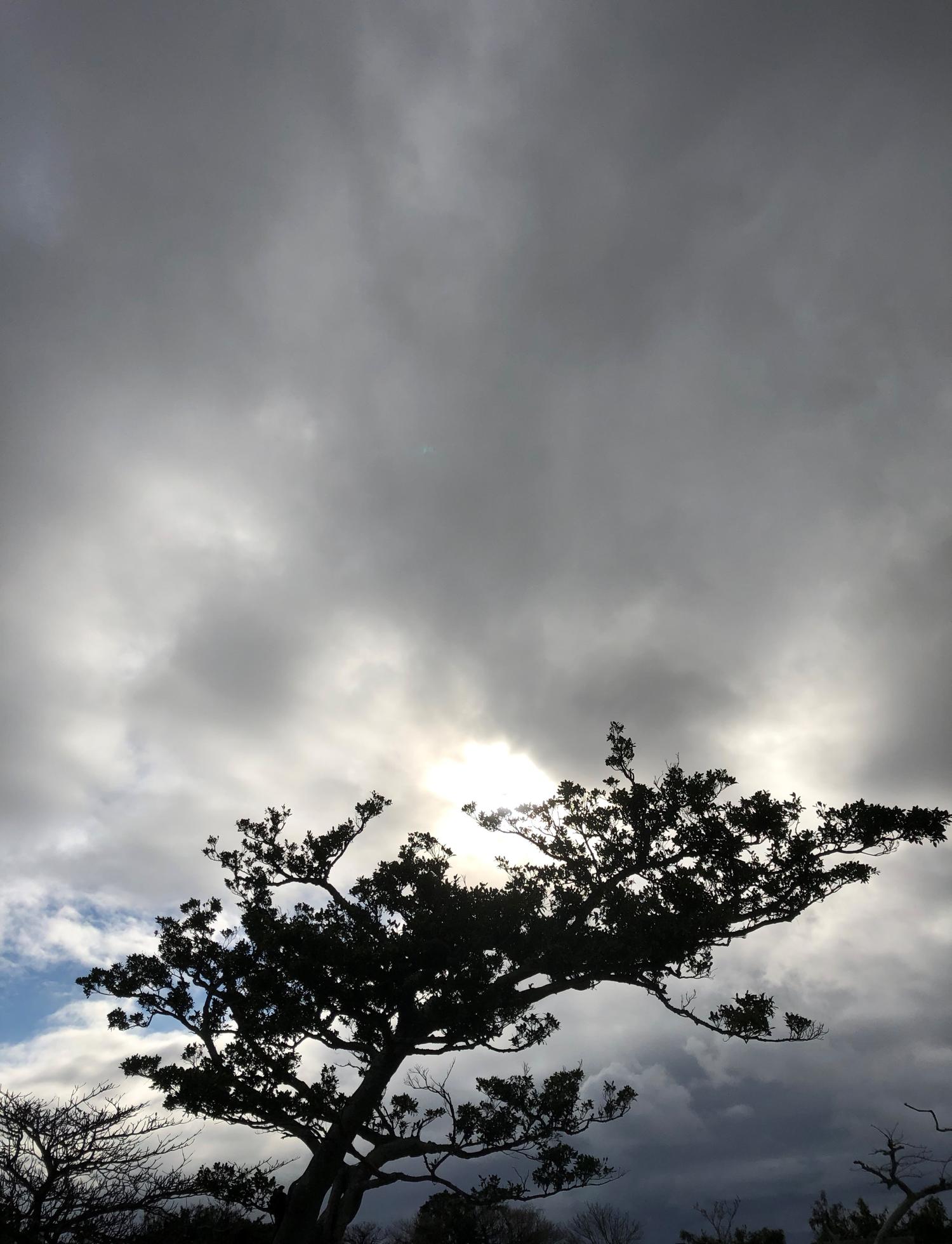 イェスタディの１６時３９分　雨が降る前に