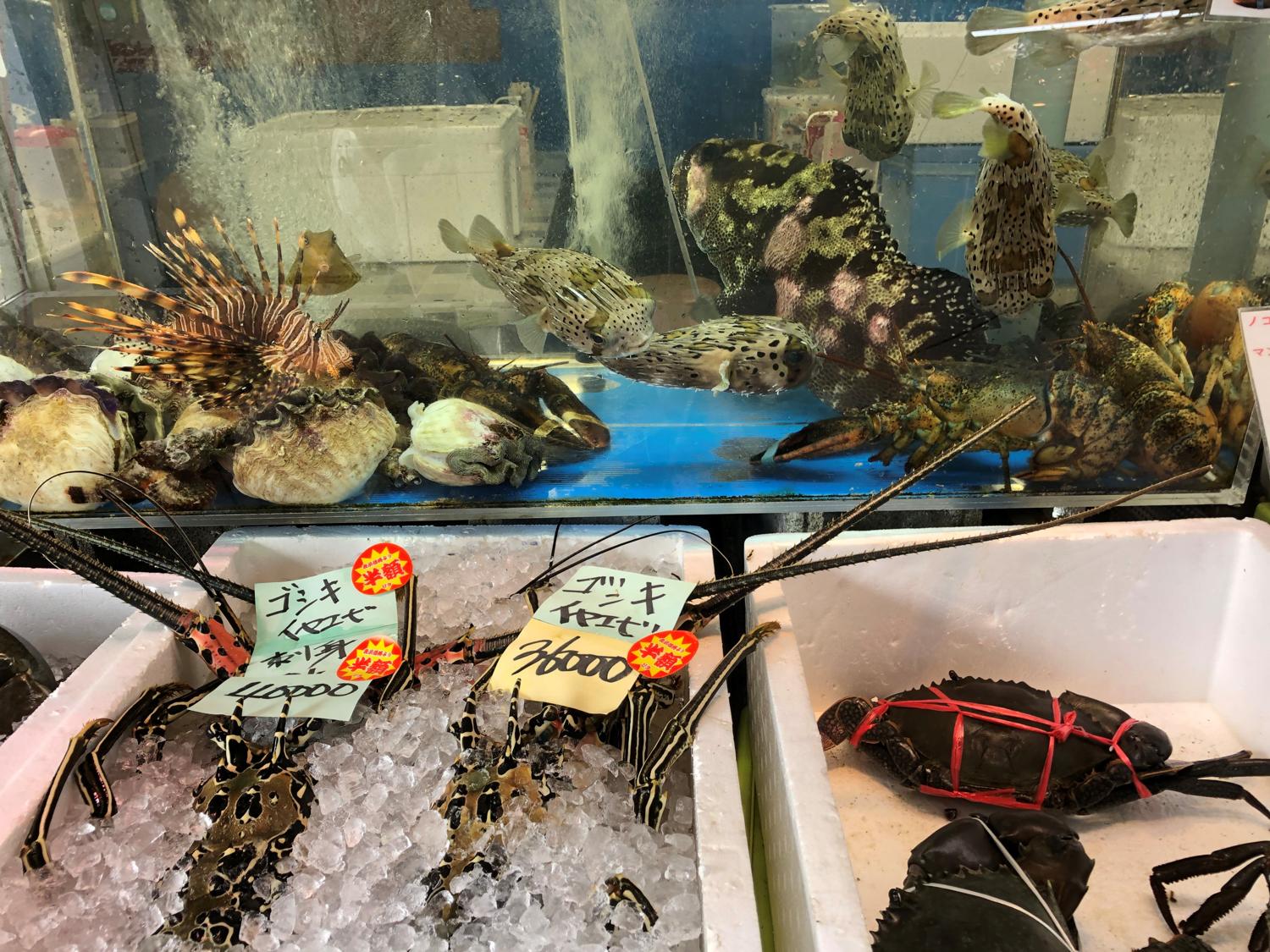 魚と貝