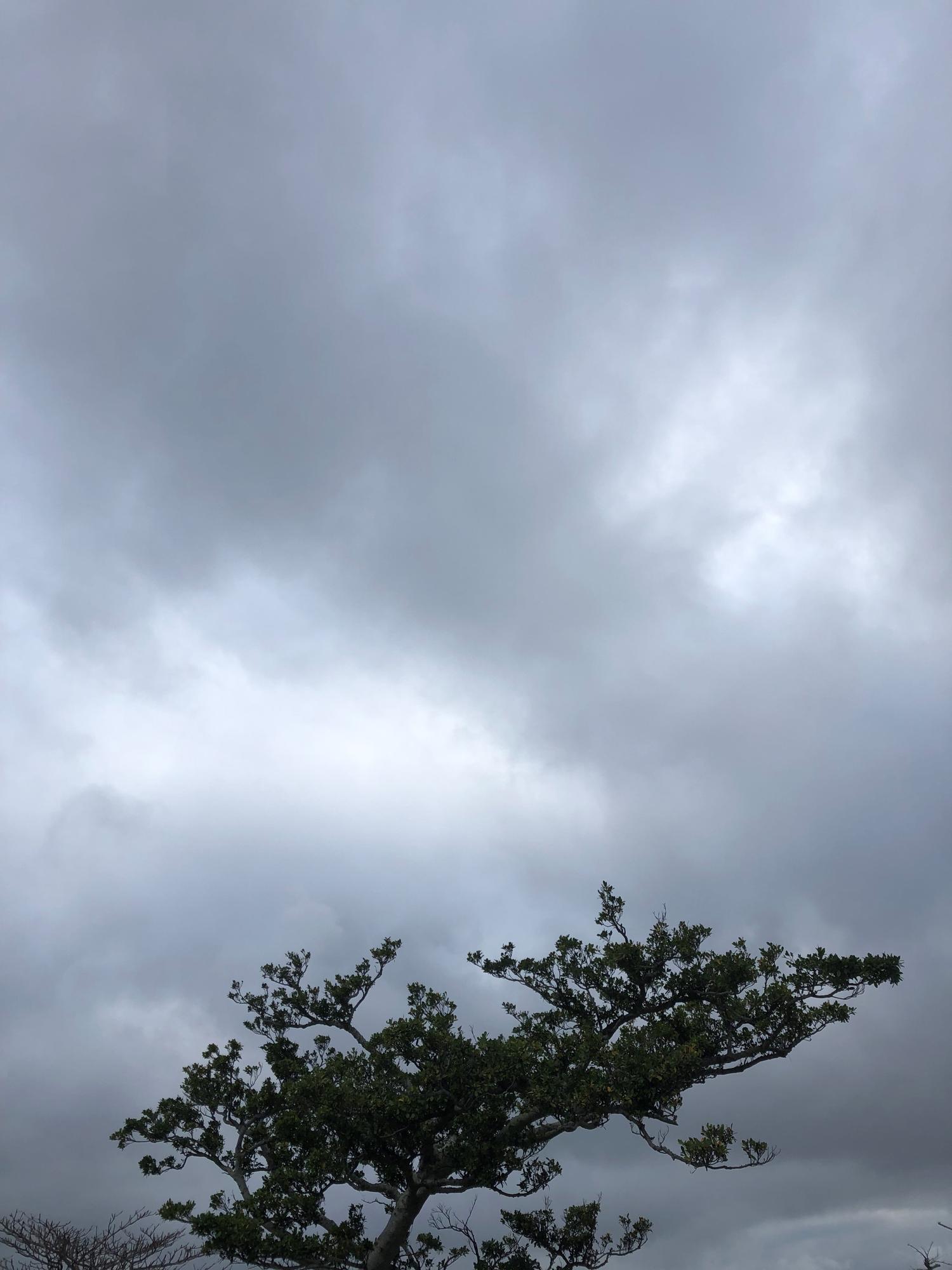 イェスタディの１７時０６分