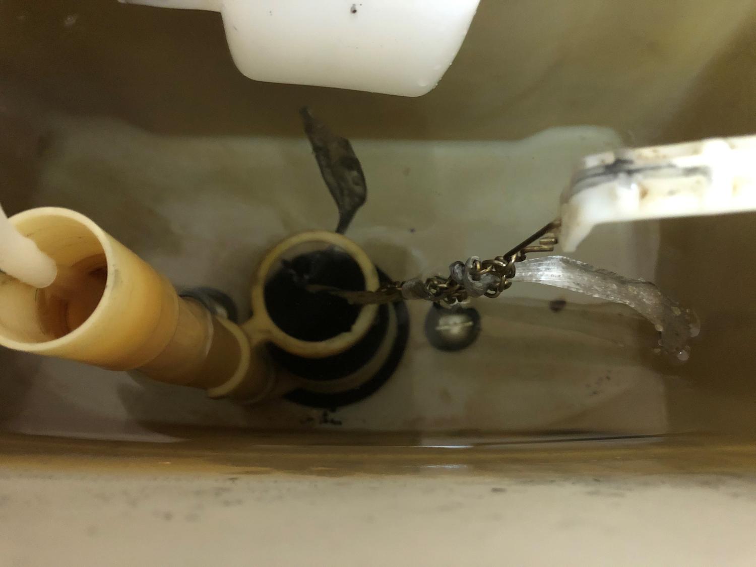 切れてしまった付け根をヒモで結び暫定処置