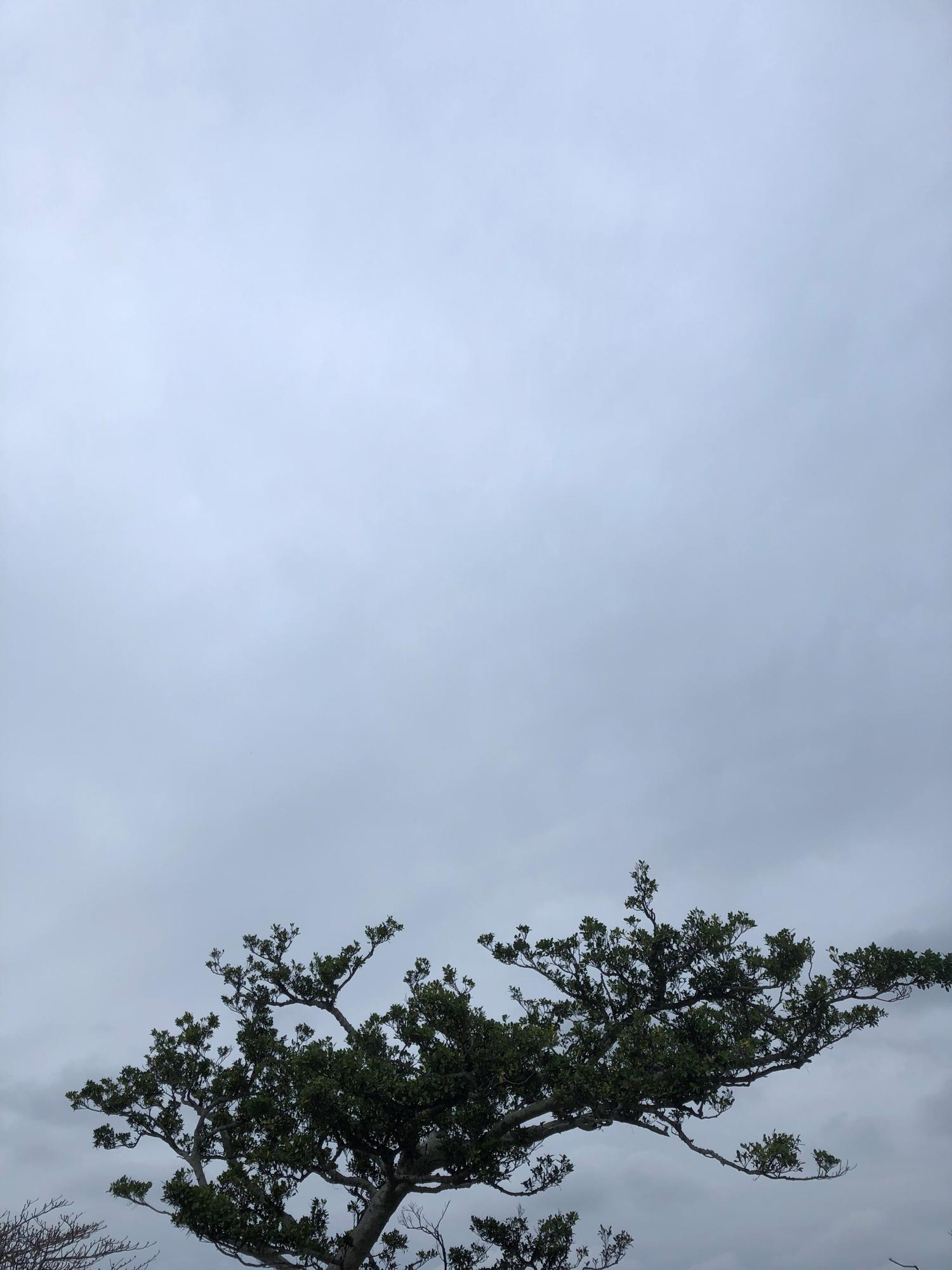 イェスタディの１７時０８分