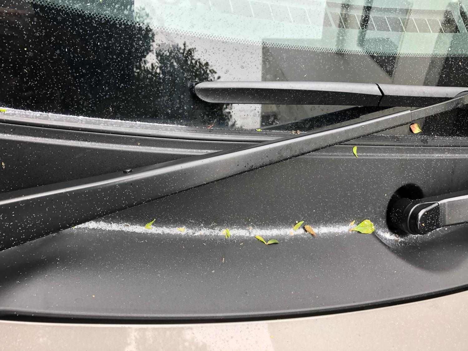 白い粉が大量に積もっている