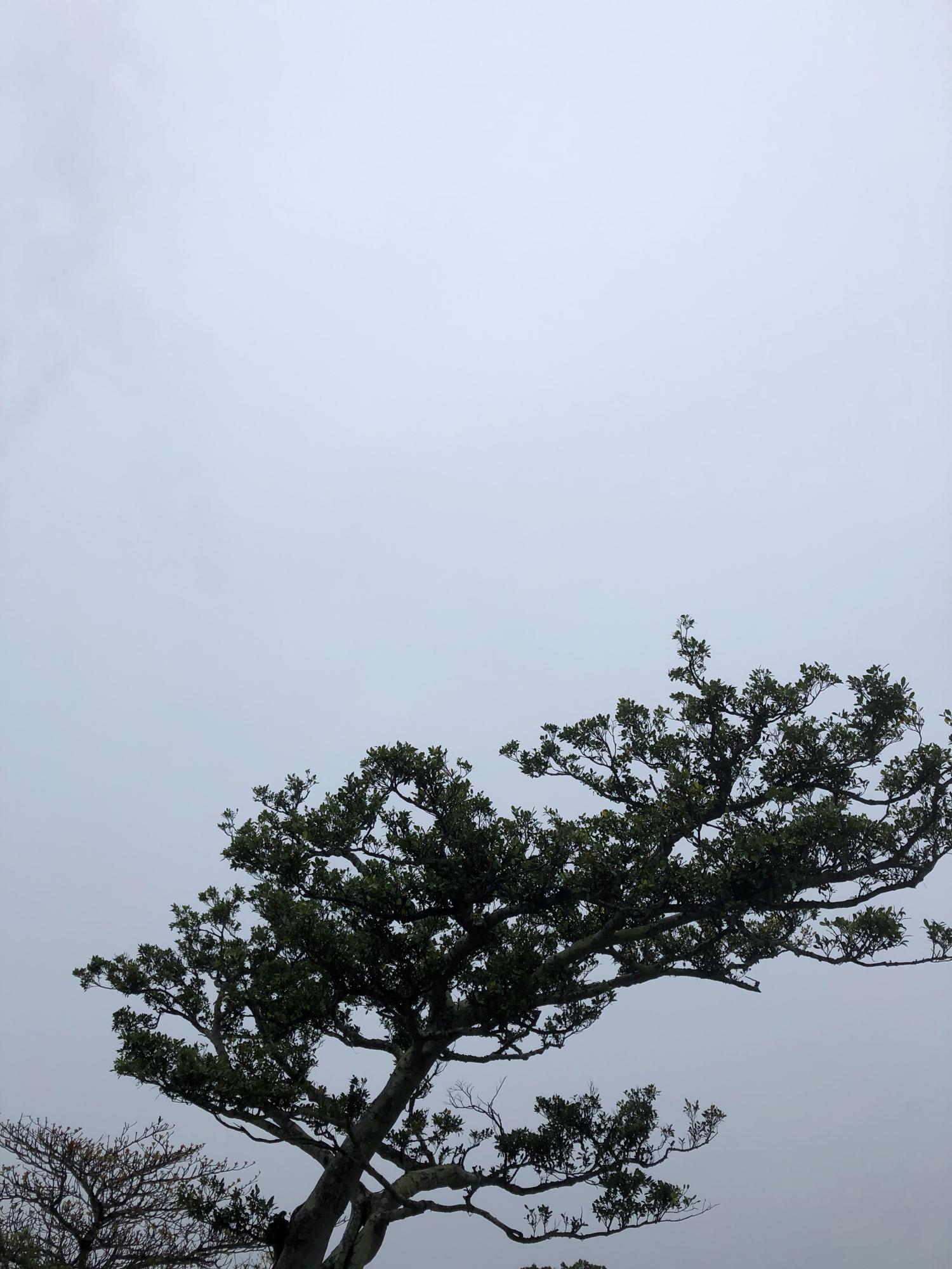 イェスタディの１６時５８分