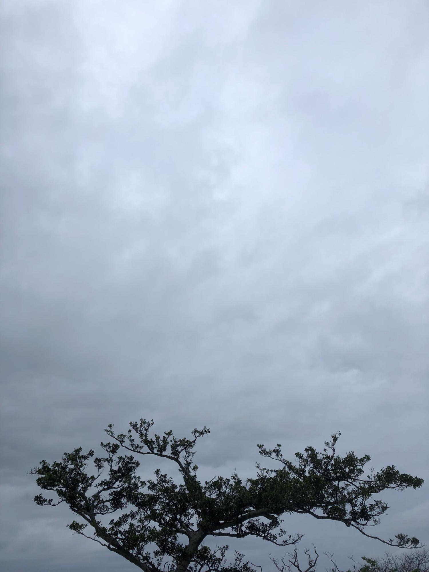 イェスタディの１７時１５分
