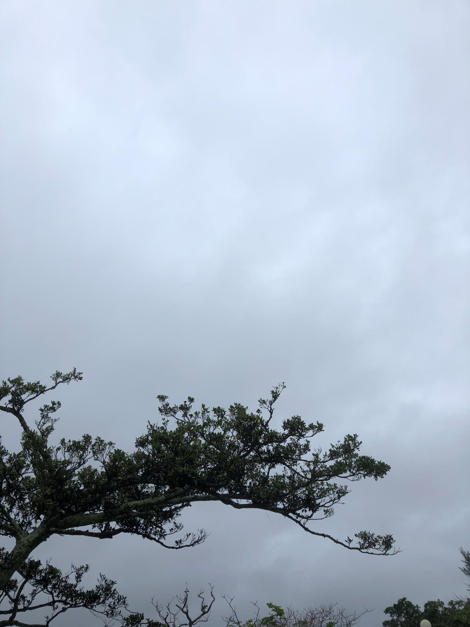 イェスタディの１６時５７分