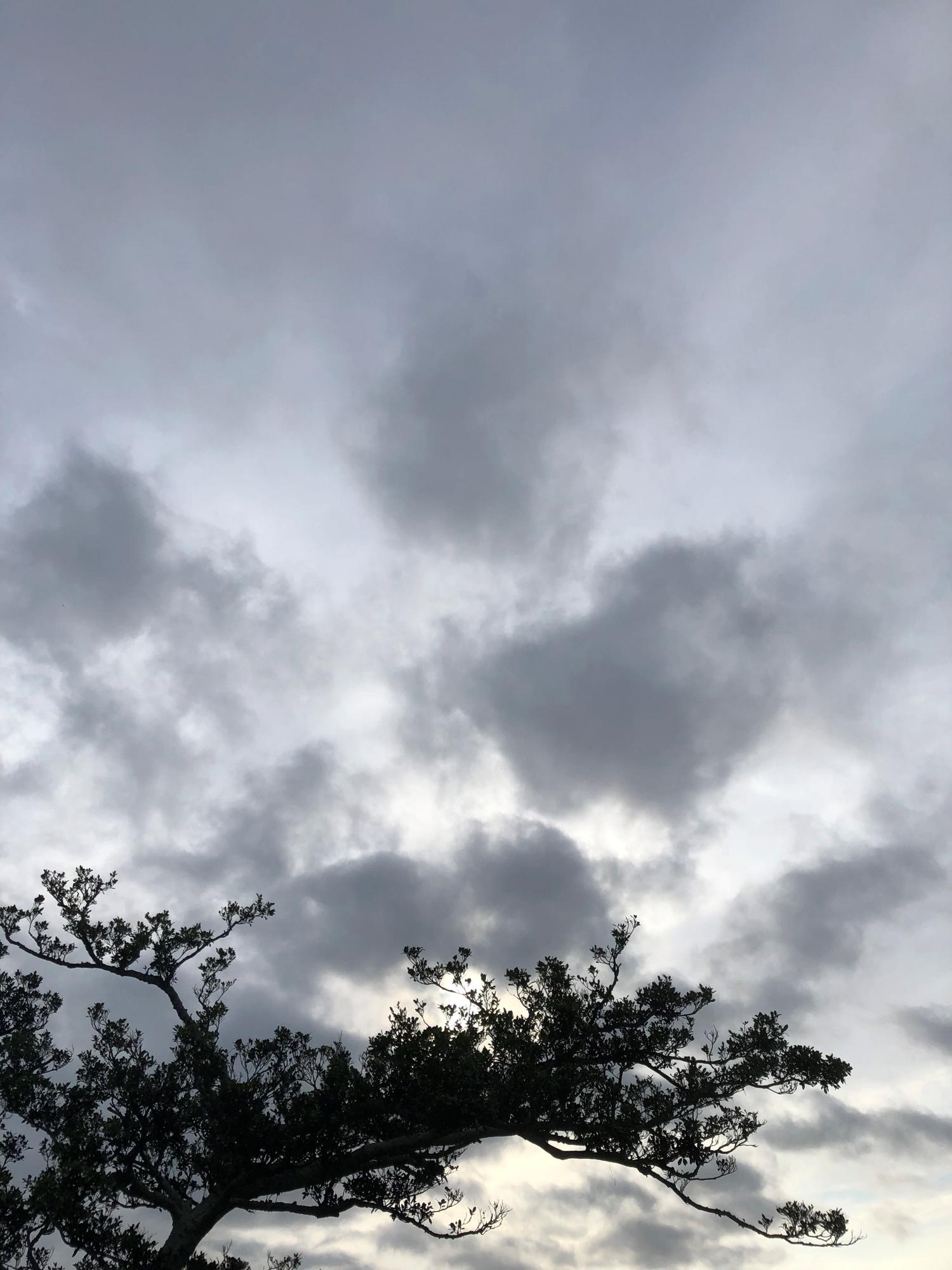 イェスタディの１７時３５分