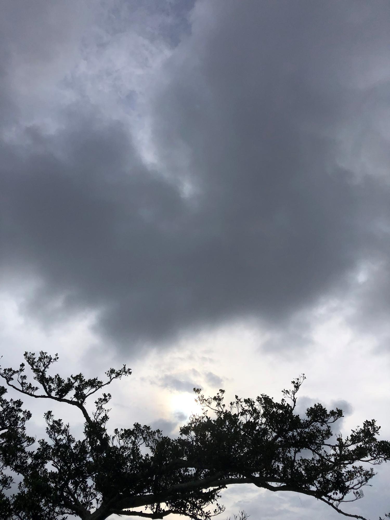イェスタディの１７時１４分