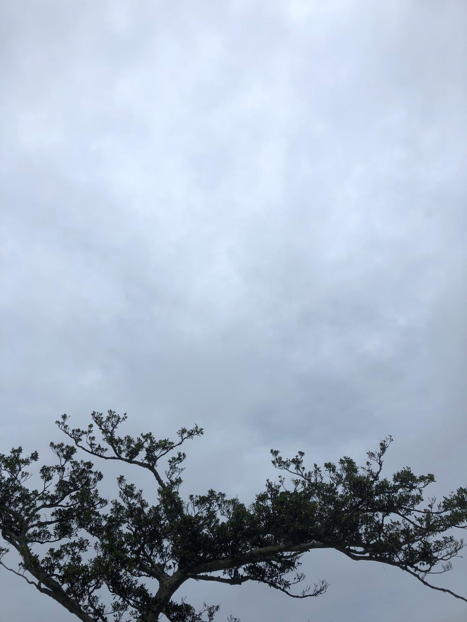 今日の１７時３１分