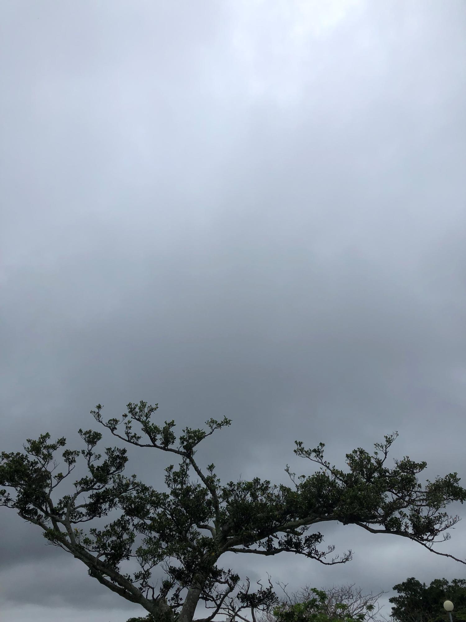 イェスタディの１６時３０分