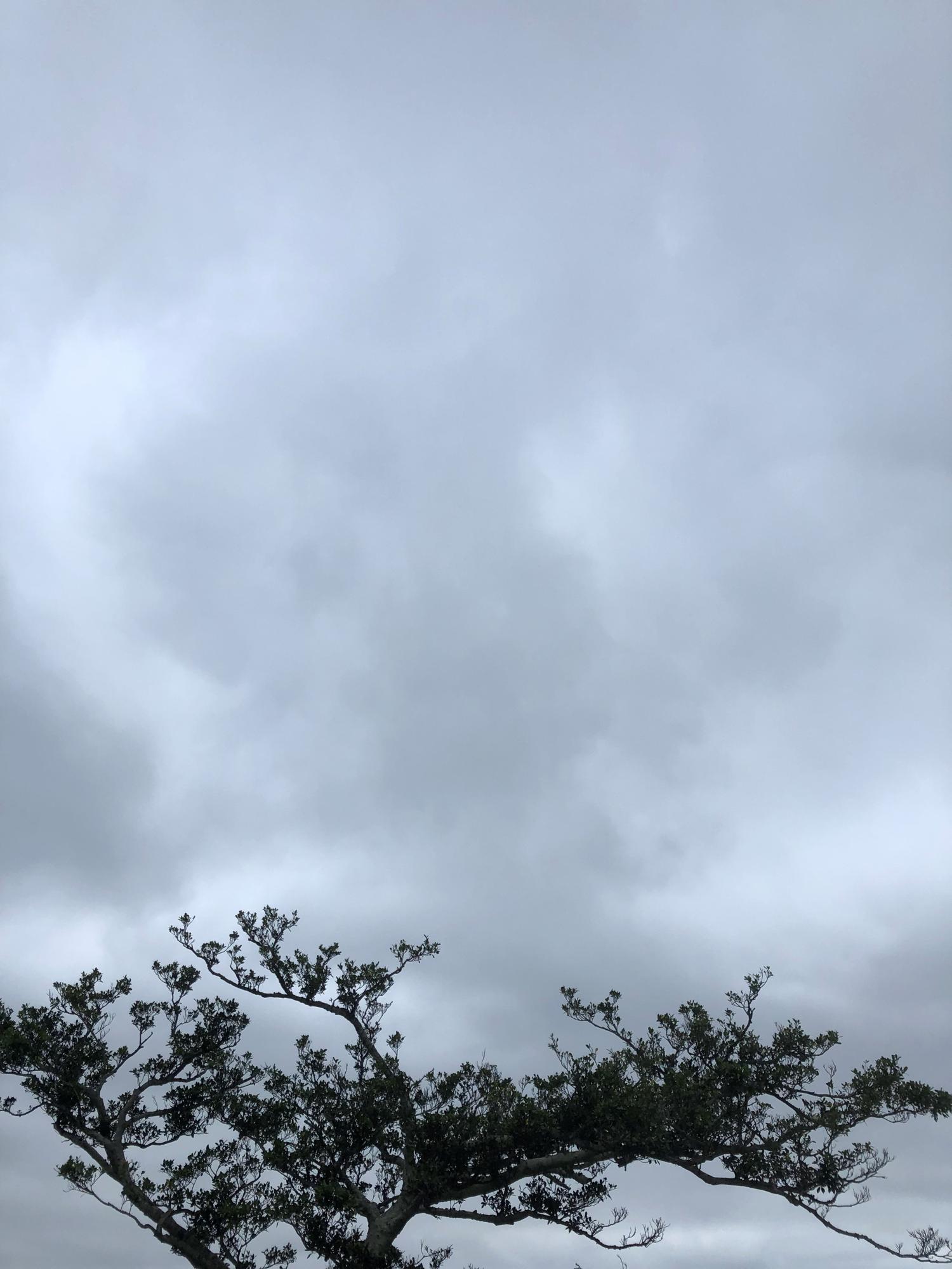 イェスタディの１６時４４分