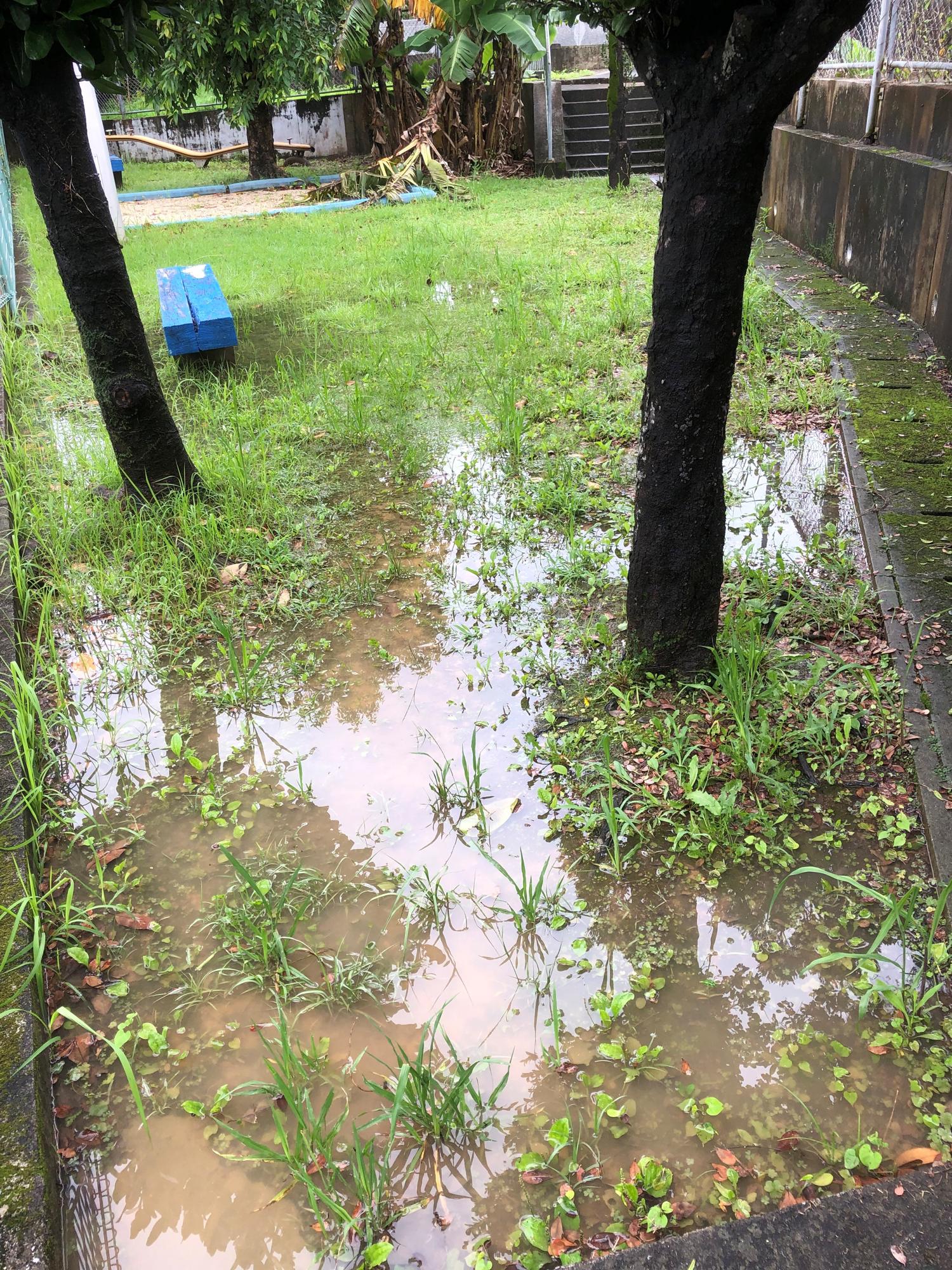 イェスタディの１６時０２分　公園に溜まった水