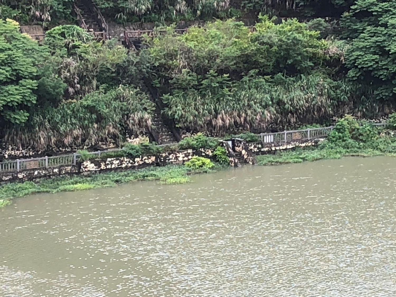 金城ダムも水位がかなり上がっていた