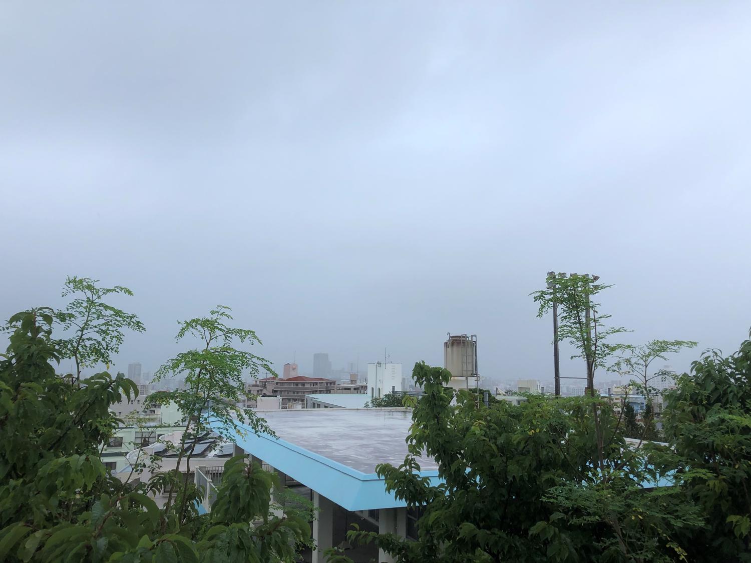 今日の１１時３５分　まともや雨が